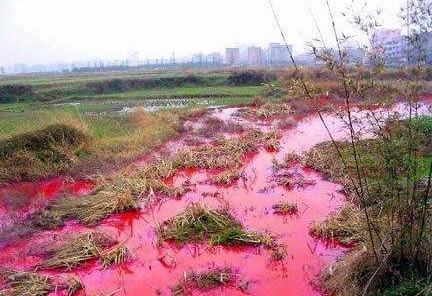 我国农田污染土壤修复的现状