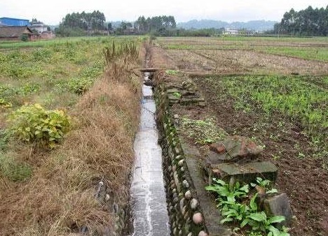 农田污染土壤修复的环境可持续性考虑